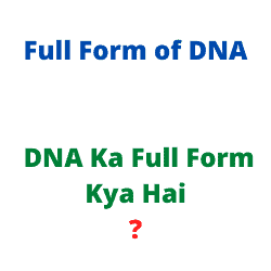 DNA Ka Full Form